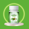 Moringa Capsules | Organic Herbs to Protect Tissue Liver, Kidneys, Heart & lungs & to reduce pain