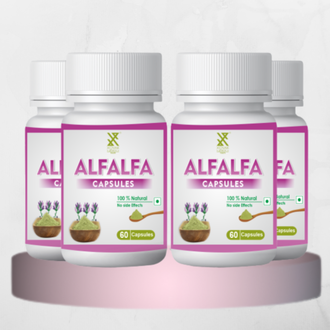 Alfalfa Capsules | Natural Blood Purifier, Helps in Lower Cholesterol & Sugar Management