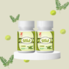 Amla Capsules | Ayurvedic Natural Vitamin C, Immunity Booster & Protection from Viral Infection