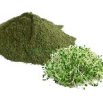 alfalfa-powder
