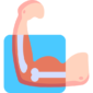 bone joint health