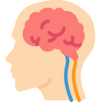 brain health