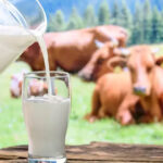cow-milk