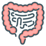 gut health