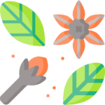 herbs