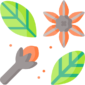 herbs