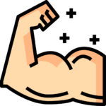 muscle