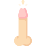 penis hard strong erection