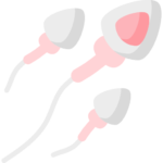 sperm