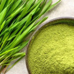 wheat grass, Triticum aestivum Linn, young grass of the common wheat plant