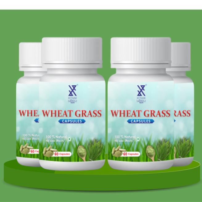 Wheat Grass Capsules | Plant-Based Nutrition Rich & Powerful Antioxidant Supplements